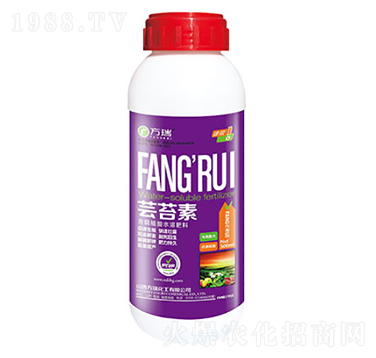 �|̦��-����