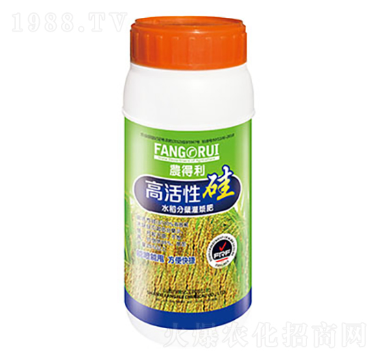 �߻��Թ�-����