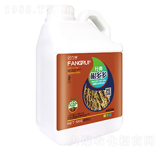 �����-����