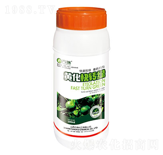 �S�����D(zhu��n)�G-����