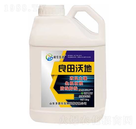 �����o���������ֵ�-��ϲ������