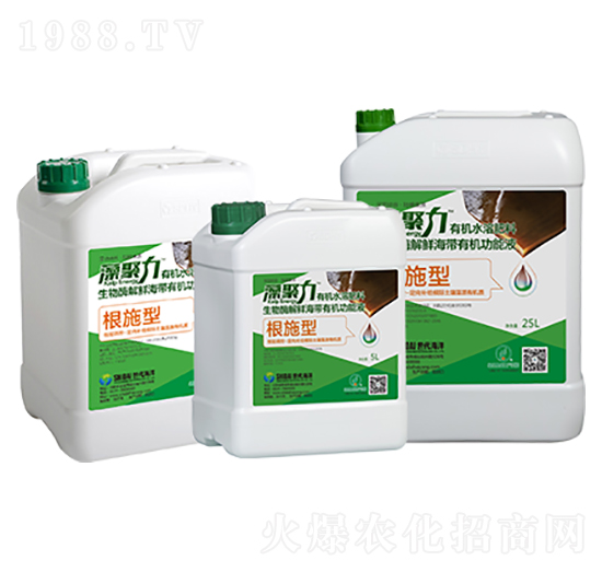 根施型復(fù)合微生物肥料-藻聚力-世代海洋