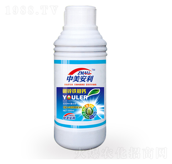 ���\�F�f�}-�֠�