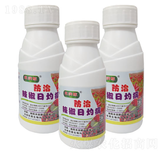 辣椒日灼病-禾潤(rùn)肥業(yè)