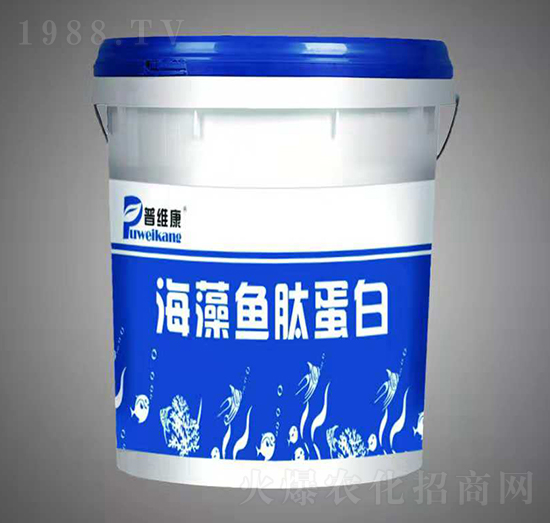 �����~�ĵ���-�վS��-�_�_�ʘI(y��)