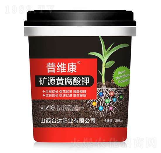 �VԴ�S�����-�վS��-�_�_(d��)�ʘI(y��)