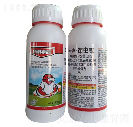 16%�׾S�����x��-����������-������