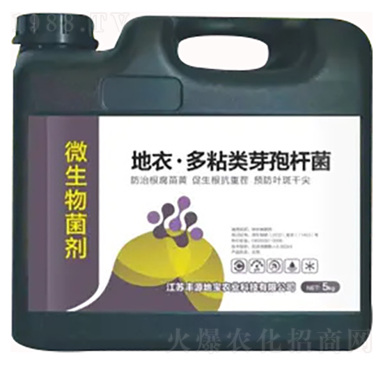 ΢�������-���¡���ճ�ѿ�ߗU��-�SԴ�،�