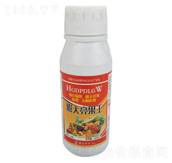 ���������-����ʘI(y��)