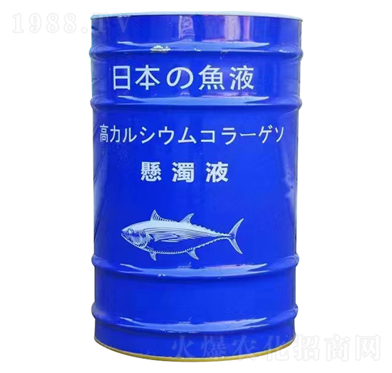 �~����-�ڬ�����