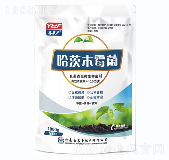 ����ľù��-���R�S