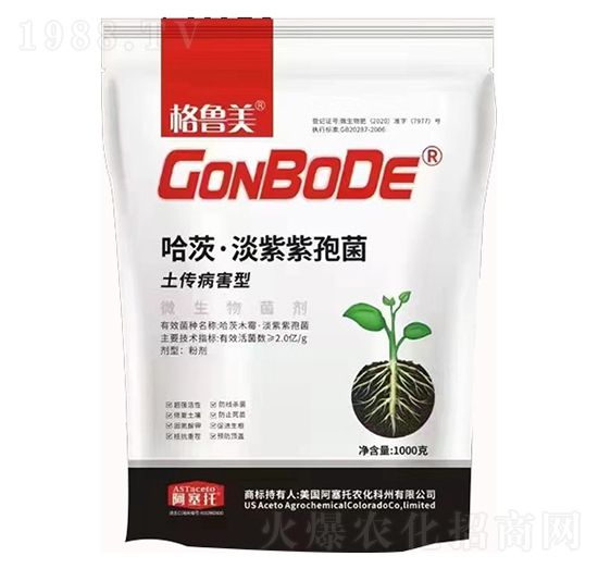 哈茨·淡紫紫孢菌-格魯美-卡列尼