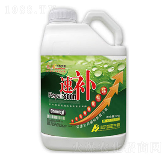 ���a(b��)-ʢ������