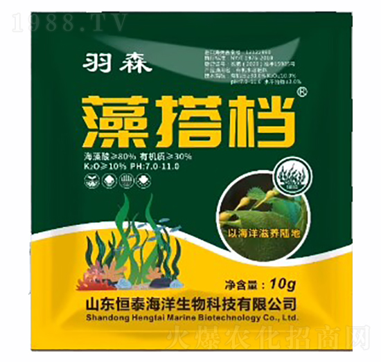 10kg���n-��ɭ-��������