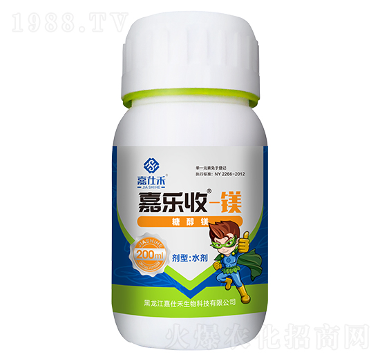 �Ǵ��V-�Θ���-���˺�