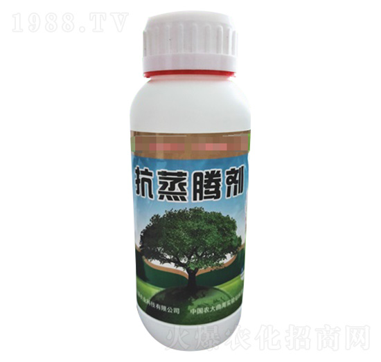 �����v��-�r(n��ng)�־G�r(n��ng)�I(y��)