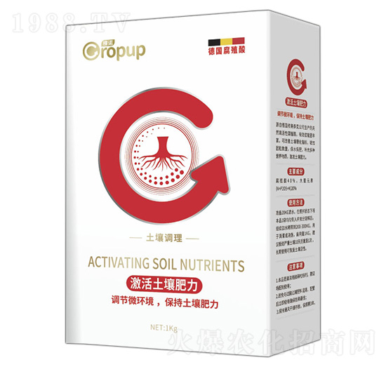 �����{(di��o)���(l��i)�~���-���Z-�¶�����