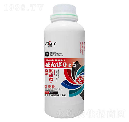 �������΢+-��ɏ-���r(n��ng)��