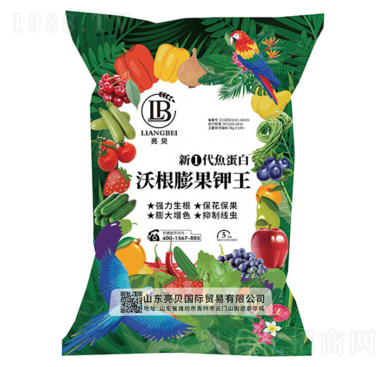 �¢ٴ��~�����ָ�������-��ؐ-�ﲩʿ