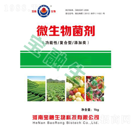 ΢������������������ͺ��͡������-��������