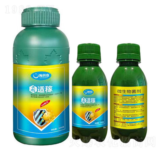 ���������Ⱥ-���m��-������