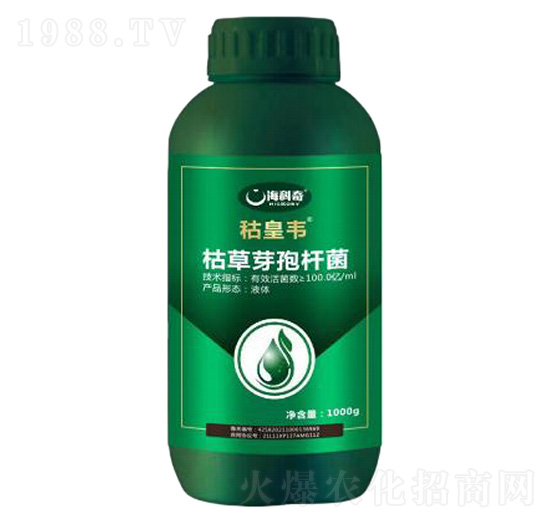 �ݲ�ѿ�ߗU��-�s���f-������