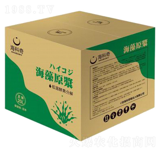 ����ԭ�{-������