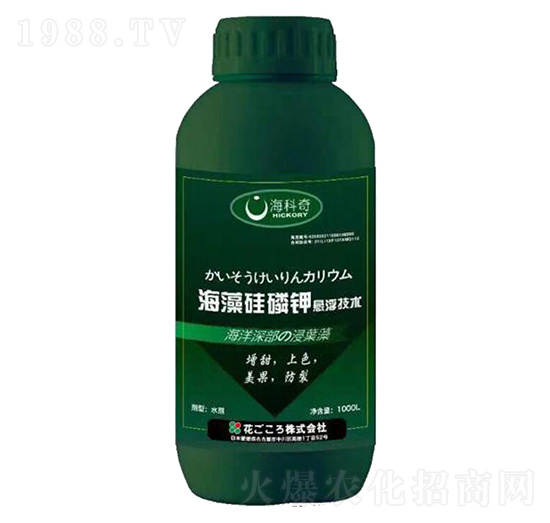 ��������-������