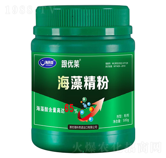 ���徫��-����(y��u)�R-������