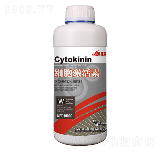 ��(x��)��������-�n��-�n��ʘI(y��)