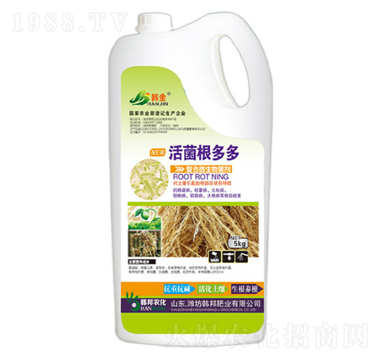 ��(f��)��΢�������-��������-�n��-�n��ʘI(y��)