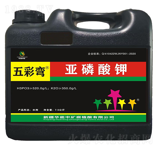 �������-��ʏ�-�A���еV