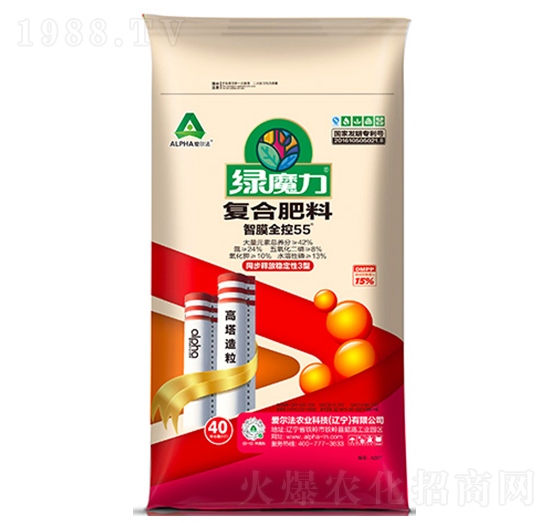 ��Ĥ�p��55��(f��)�Ϸ���24-8-10-�Għ��-��(��i)����