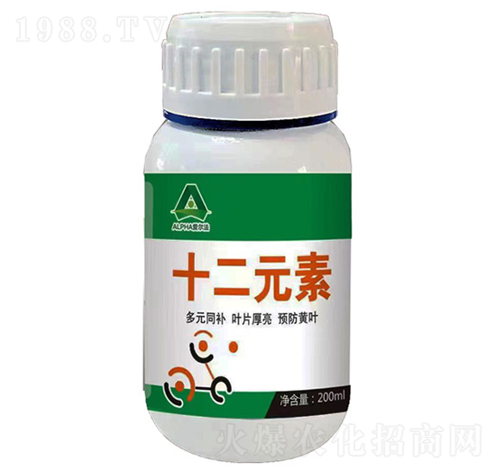 ʮ��Ԫ��-�۠���