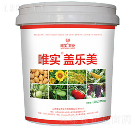 Ψ��(sh��)���w����