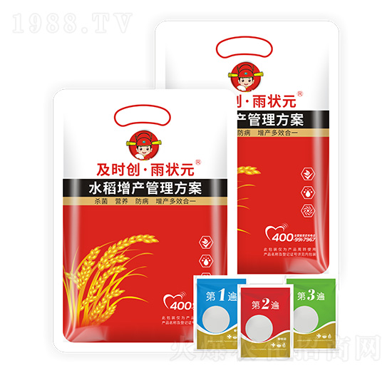 水稻增產(chǎn)管理方案-及時創(chuàng)·雨狀元-及時雨