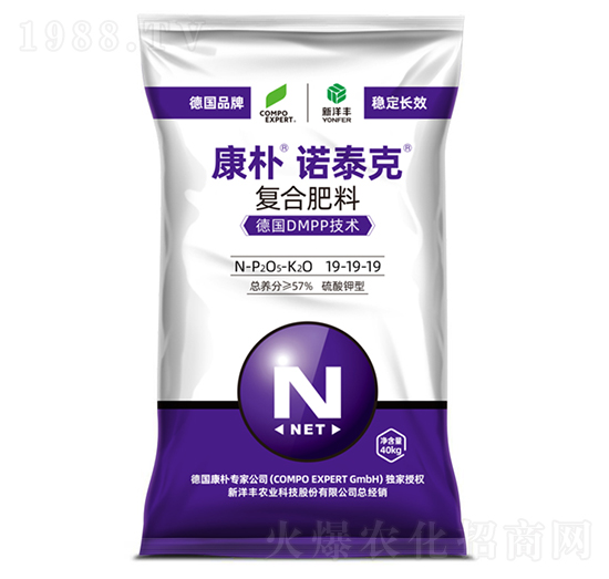 �����Z̩�ˏ�(f��)�Ϸ���19-19-19-����