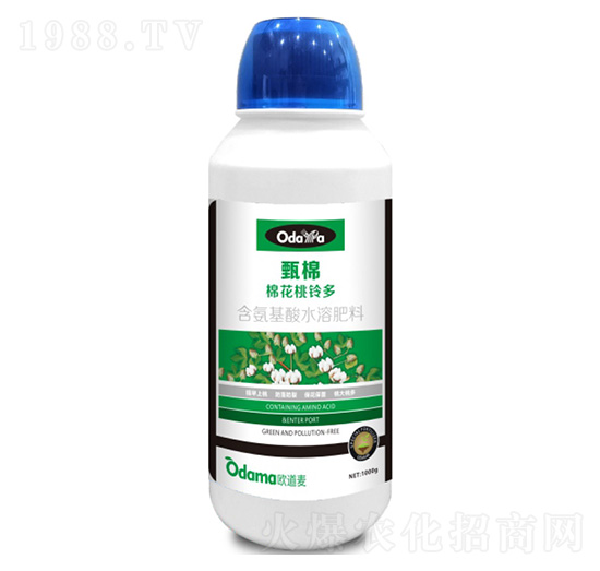 �޻���⏶�-����-�W����