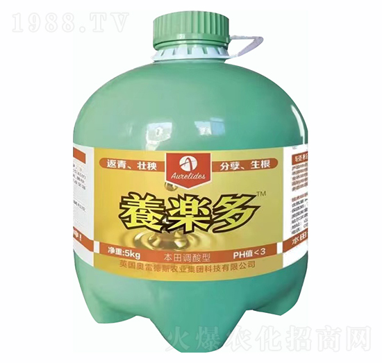 ���w����-�B(y��ng)����-�W�׵�˹