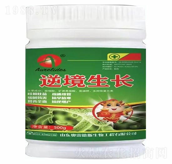 �澳���L-�W�׵�˹