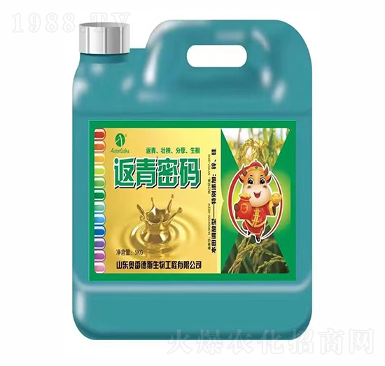 �����ܴa���w����-�W�׵�˹