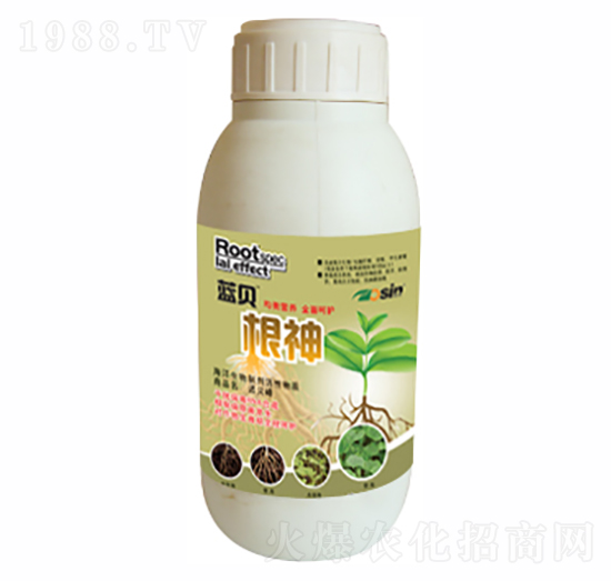 ����-�{(l��n)ؐ-������