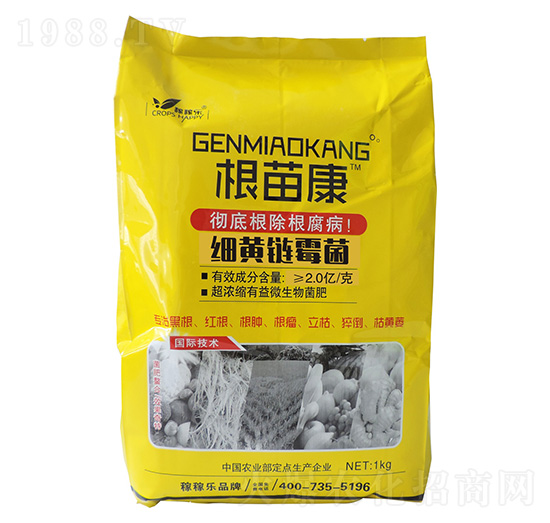 ��(x��)�S�ù��-���翵-�ڼژ�(l��)