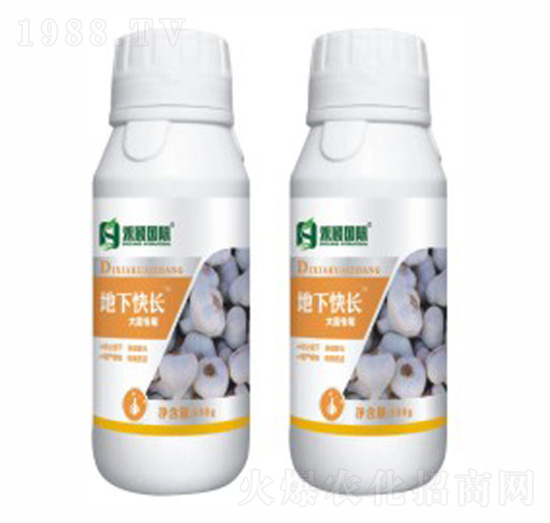 蒜、蔥、姜專用葉面肥-地下快長-禾穎生物