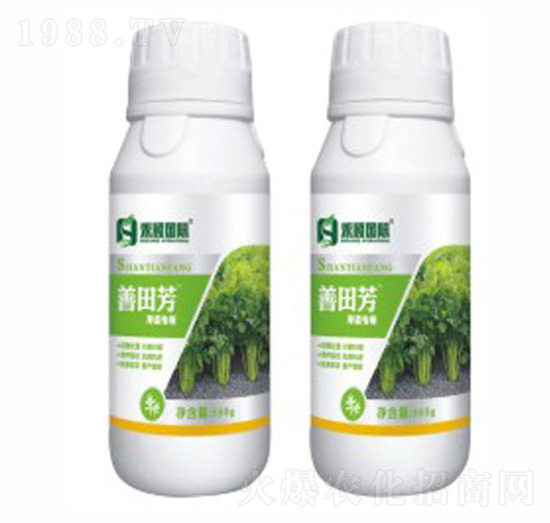 芹菜專(zhuān)用葉面肥-善田芳-禾穎生物