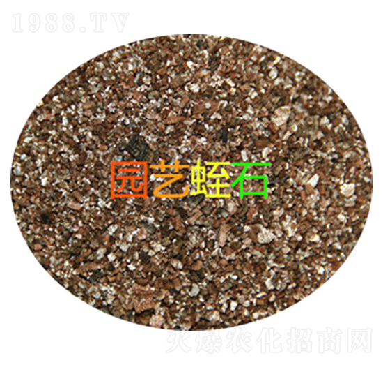 �@ˇ��ʯ-���d����