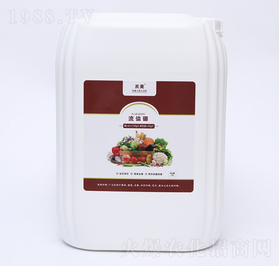 ���w��-��������