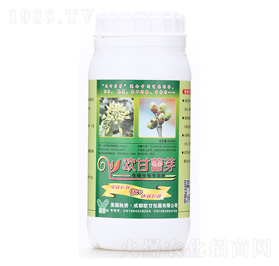 �W����ѿ-�W��