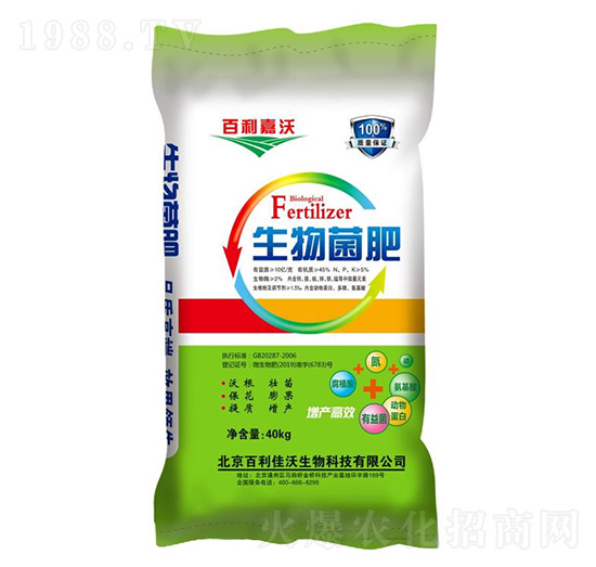 �������-��������-��ʥ����