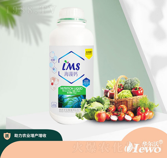 �����}-��ķ��-�A����